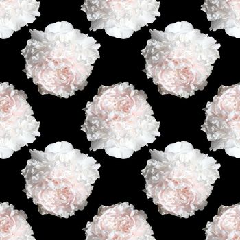 Floral background. Seamless pattern with peony flower isolated on black background
