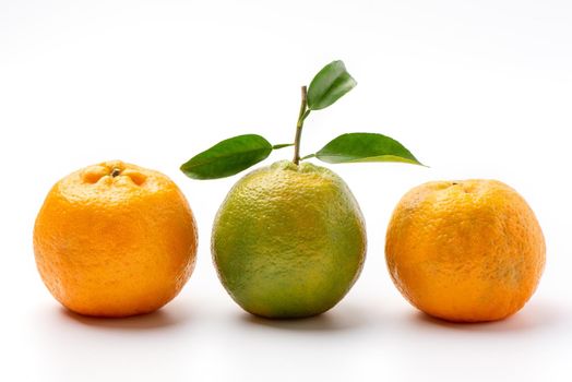Beautiful tangerine isolated on white background, clipping path, cut out, close up.