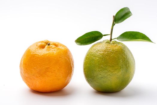Beautiful tangerine isolated on white background, clipping path, cut out, close up.