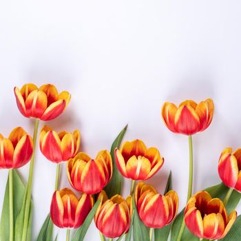 Mother's Day, Valentine's Day background, tulip flower bunch - Beautiful Red, yellow bouquet isolated on white table, top view, flat lay, mock up design concept.