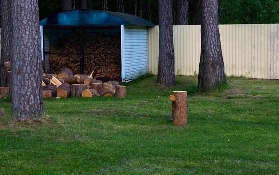 A pile of pine chocks on the ground on the green grass.