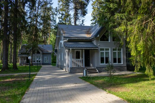 Two gray houses in a forest alley on a spring day.