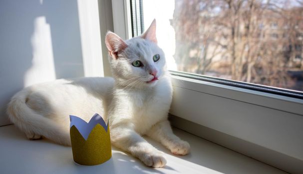 At the window lies a white cat next to a golden crown.