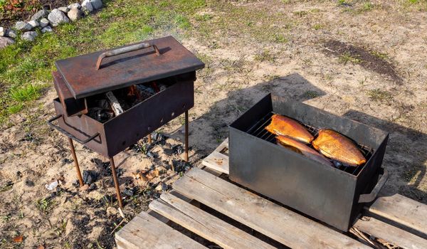 Three smoked fish in a makeshift smokehouse.