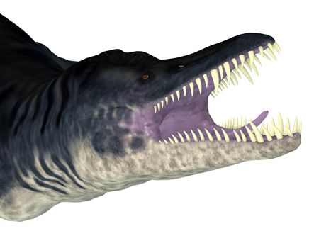 Liopleurodon was a carnivorous marine plesiosaur that lived in the Jurassic seas of Europe and Canada.