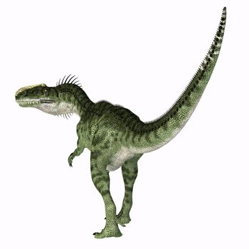 Monolophosaurus was a carnivorous theropod dinosaur that lived in China during the Jurassic Period.