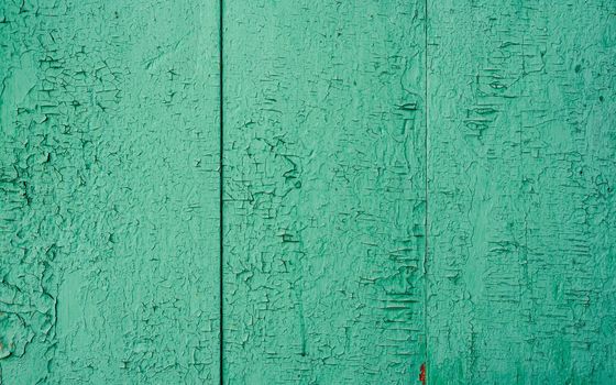 Rustic background of green painted wooden surface
