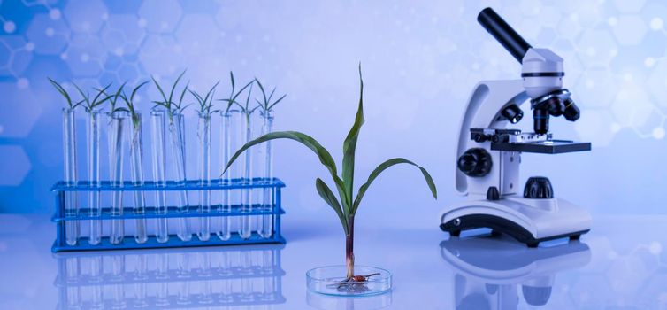 Laboratory beakers, microscope, blue background