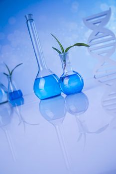 Dna, Plant laboratory experimental, Chemical glassware