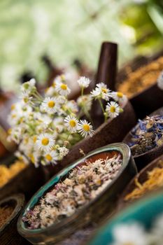 Homeopathy, herbal medicine on wooden table