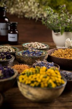 Alternative medicine, dried herbs background