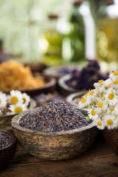 Homeopathy, herbal medicine on wooden table