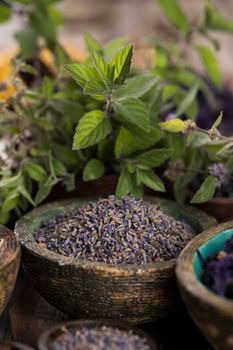 Herbs medicine and vintage wooden background