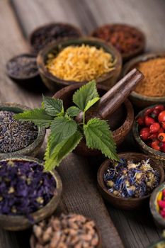 Alternative health, fresh herbal and mortar on wooden background