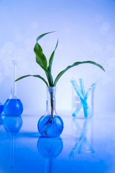 Plant laboratory experimental, Chemical glassware