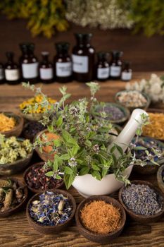 Natural remedy, healing herbs background