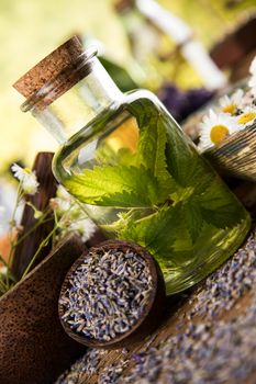 Oil, Natural remedy, healing herbs background