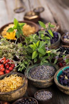 Homeopathy, herbal medicine on wooden table