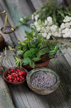 Natural remedy, healing herbs background