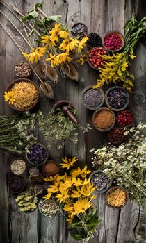 Alternative medicine, dried herbs background