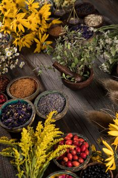 Fresh medicinal herbs on wooden background