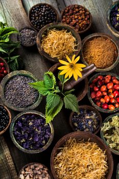 Homeopathy, herbal medicine on wooden table