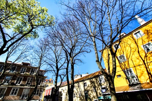 Colorful streets with majestic facades, windows and balconies of Lisbon city in Portugal on a sunny day
