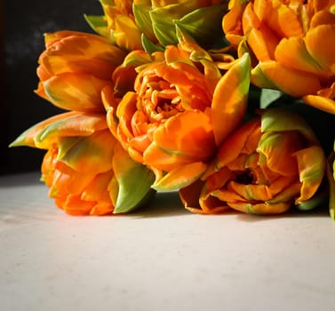 Beautiful orange tulips on white backdrop. Perfect for background greeting card