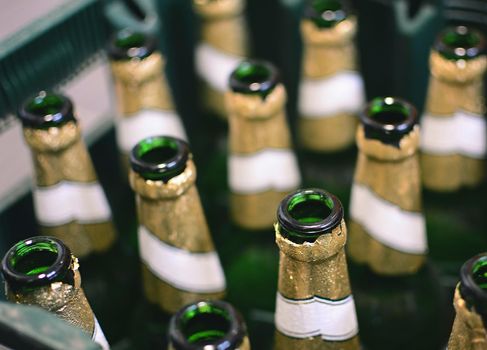 Top view of empty green beer bottles in the crate. Recycling of empty glass beer bottles.