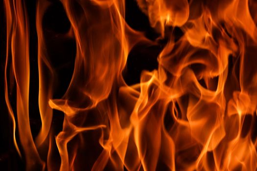 Flames of fire on a black background. The mystery of fire.