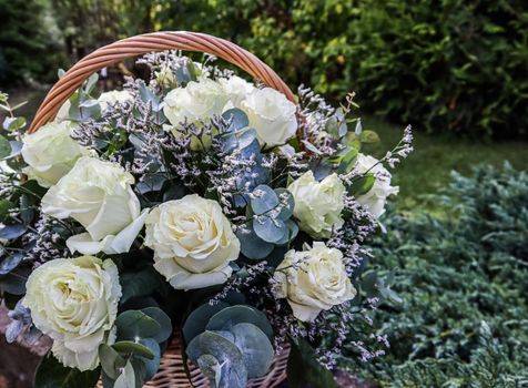 Bouquet of beautiful white roses in a wicker basket on a green background. Perfect for greeting card