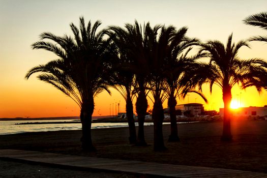 Beach oasis Sunset at Levante beach in Santa Pola, Alicante, Spain
