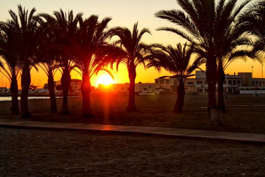 Beach oasis Sunset at Levante beach in Santa Pola, Alicante, Spain