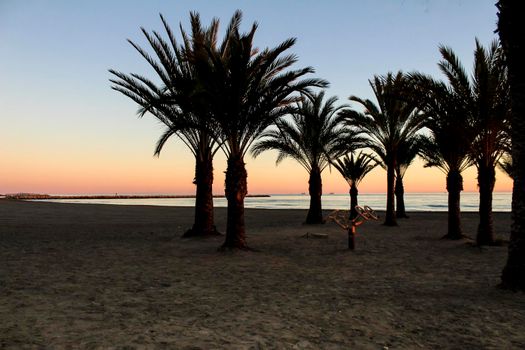 Beach oasis Sunset at Levante beach in Santa Pola, Alicante, Spain