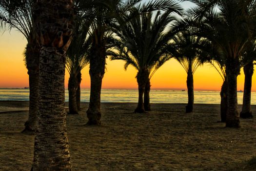 Beach oasis Sunset at Levante beach in Santa Pola, Alicante, Spain