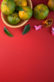 Top view of fresh ripe tangerine mandarin orange with fresh leaves on red table background for Chinese lunar new year fruit concept, the Chinese word means spring.