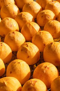 Making process of sun exposuring drying peeled dried persimmon in a sieve, autumn preserved food concept.