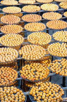 Making process of sun exposuring drying peeled dried persimmon in a sieve, autumn preserved food concept.