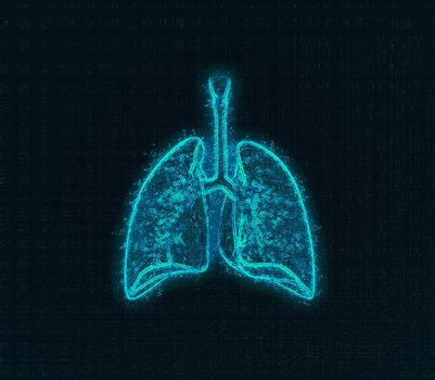 Human lungs on a graphic background