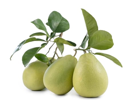 Fresh pomelo, pummelo, grapefruit, shaddock isolated on white background, close up, cut out, clipping path. Fruit for Mid-autumn festival.