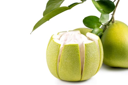 Fresh pomelo, pummelo, grapefruit, shaddock isolated on white background, close up, cut out, clipping path. Fruit for Mid-autumn festival.