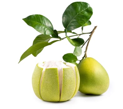 Fresh pomelo, pummelo, grapefruit, shaddock isolated on white background, close up, cut out, clipping path. Fruit for Mid-autumn festival.