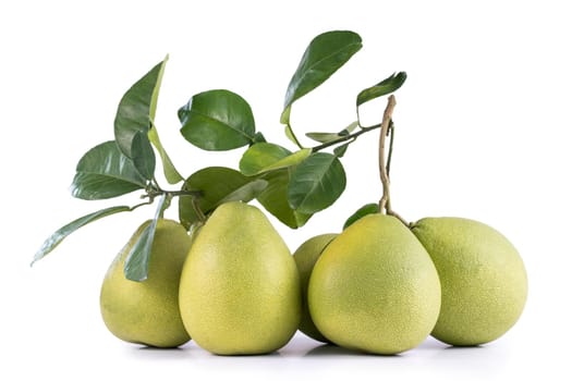 Fresh pomelo, pummelo, grapefruit, shaddock isolated on white background, close up, cut out, clipping path. Fruit for Mid-autumn festival.