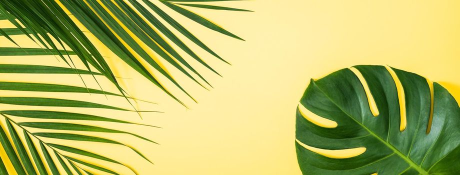 Beautiful tropical palm monstera leaves branch isolated on pastel yellow background, top view, flat lay, overhead above summer beauty blank design concept.