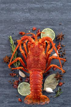 Cooked boiled lobster, delicious dinner seafood meal set with knife and fork on black stone slate background, restaurant menu design, top view, overhead