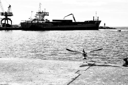 Merchant ship unloading at the dock in Santa Pola, Alicante, Spain