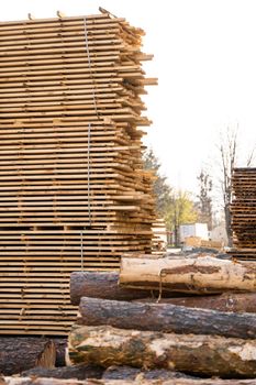 Storage of piles of wooden boards on the sawmill. Boards are stacked in a carpentry shop. Sawing drying and marketing of wood. Pine lumber for furniture production, construction. Lumber Industry