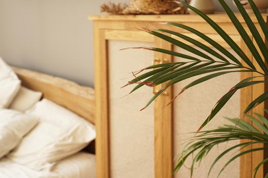 Living space or hotel room in a Scandinavian style. Green plant on blurred background