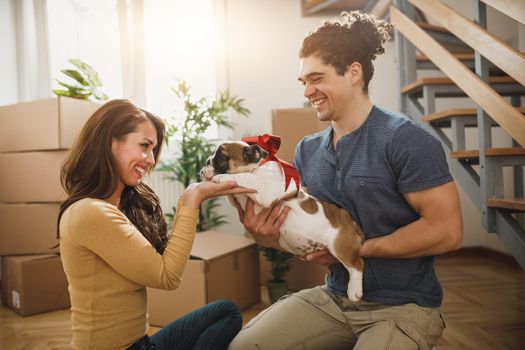 A happy young couple having fun with their English bulldog puppy while moving into their new home.