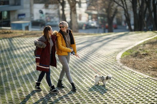 A two young female friends walking with their pet Shih Tzu dog at the city park.